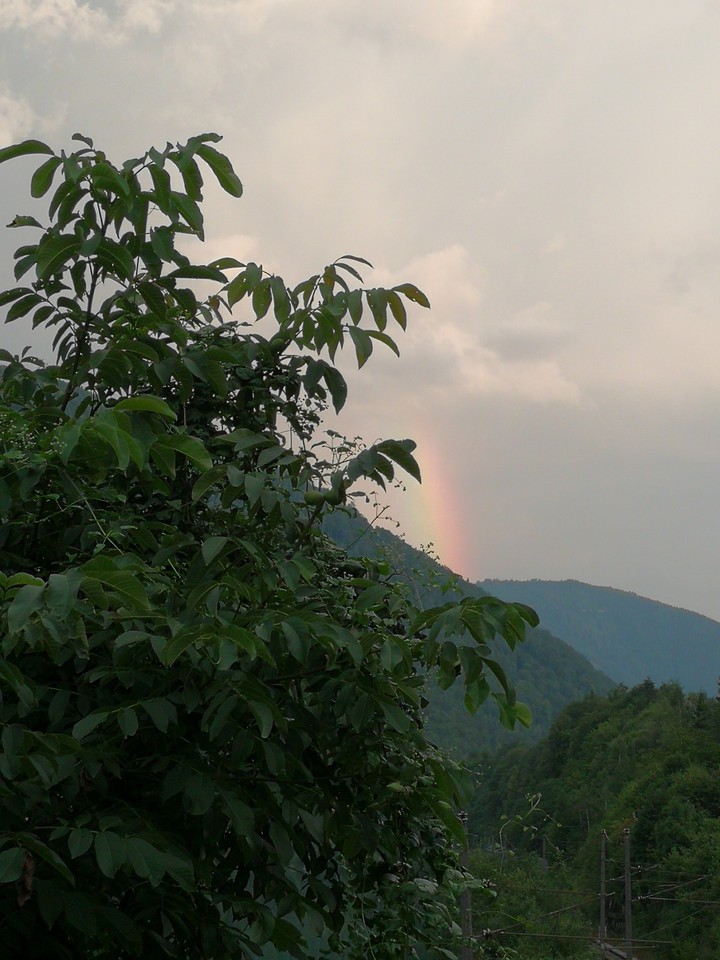 Natur pur