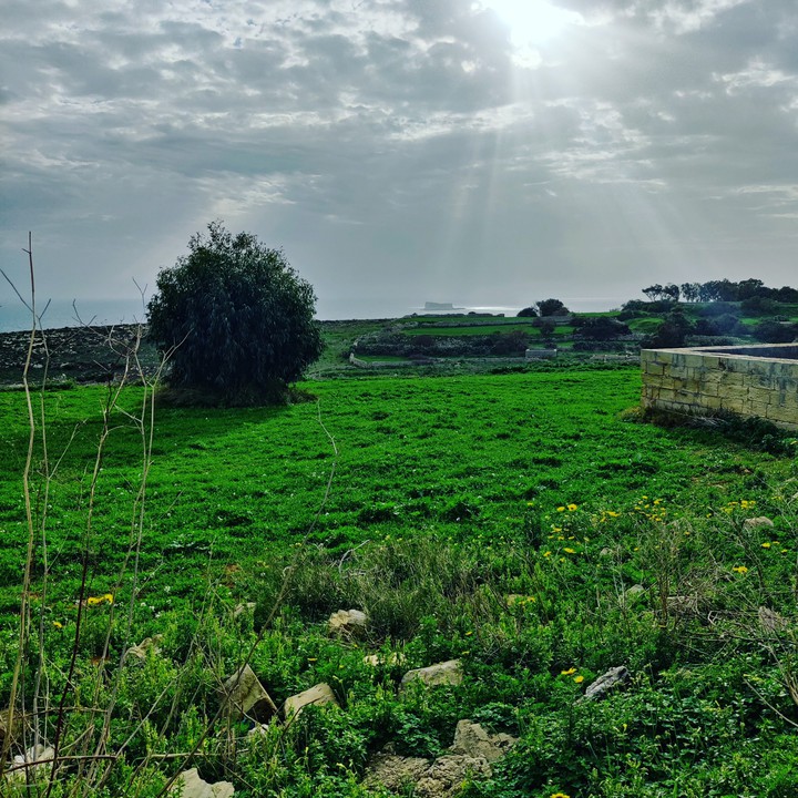 green