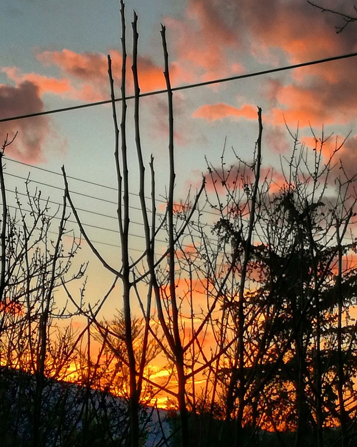 catch the sunrise