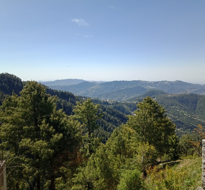 Platues of peace!!