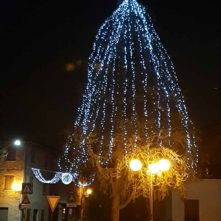 Roteglia