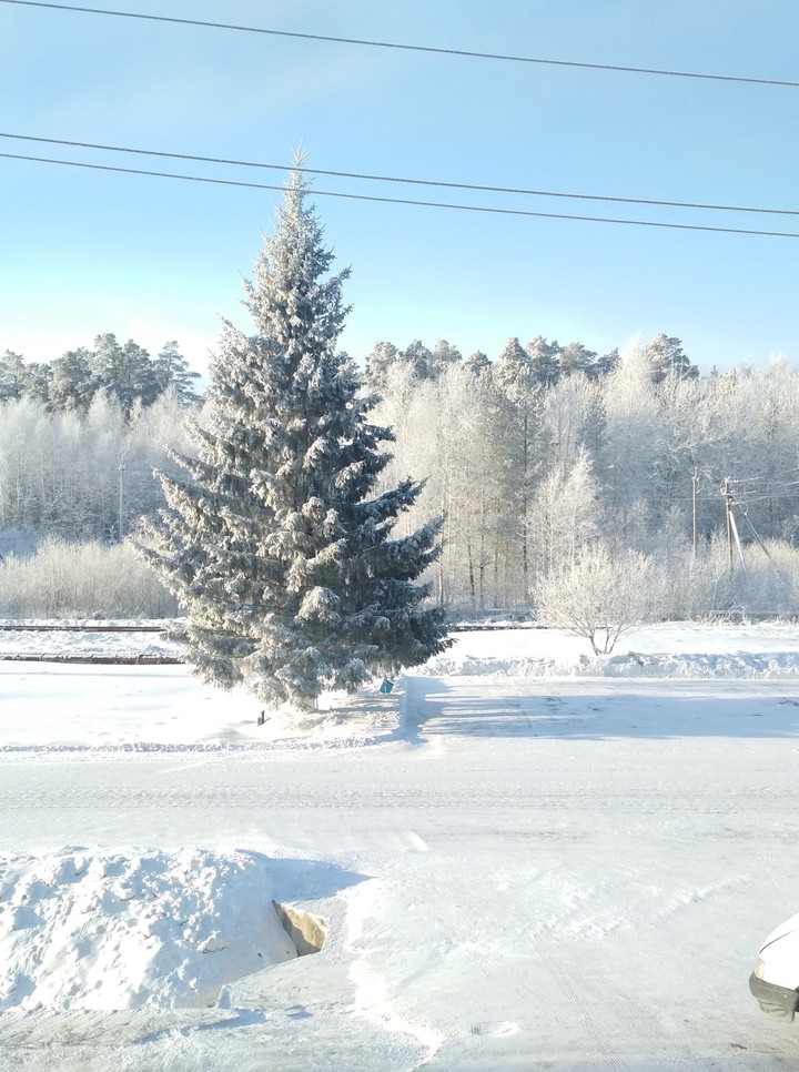 winter