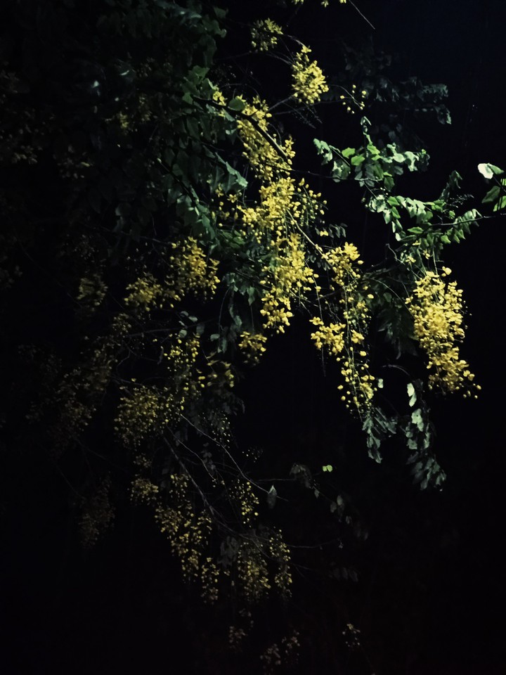 Golden Shower