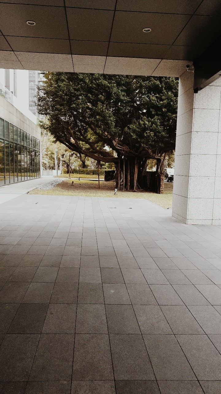 悠閒時光