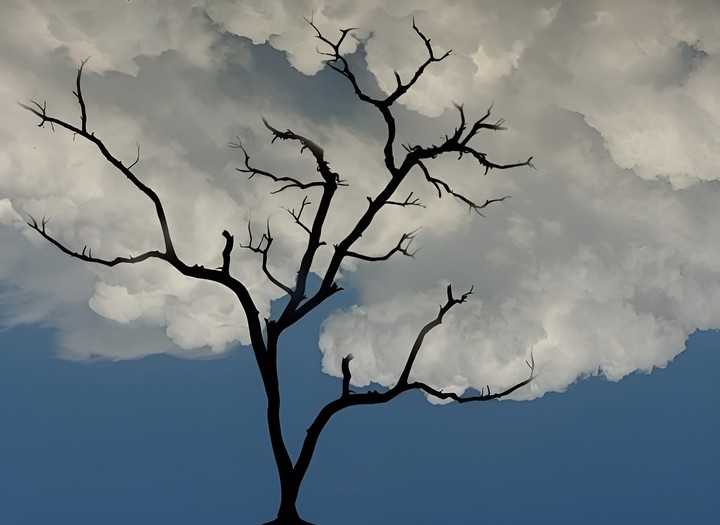 tree