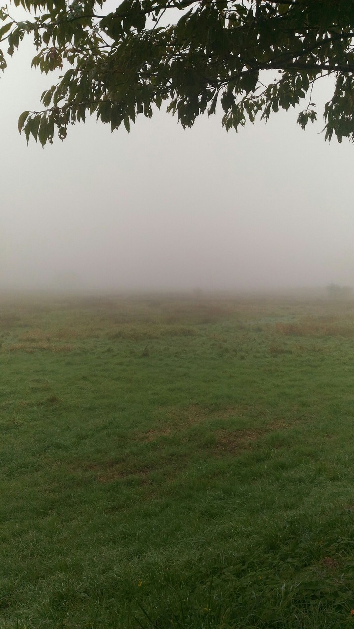 The Fog 