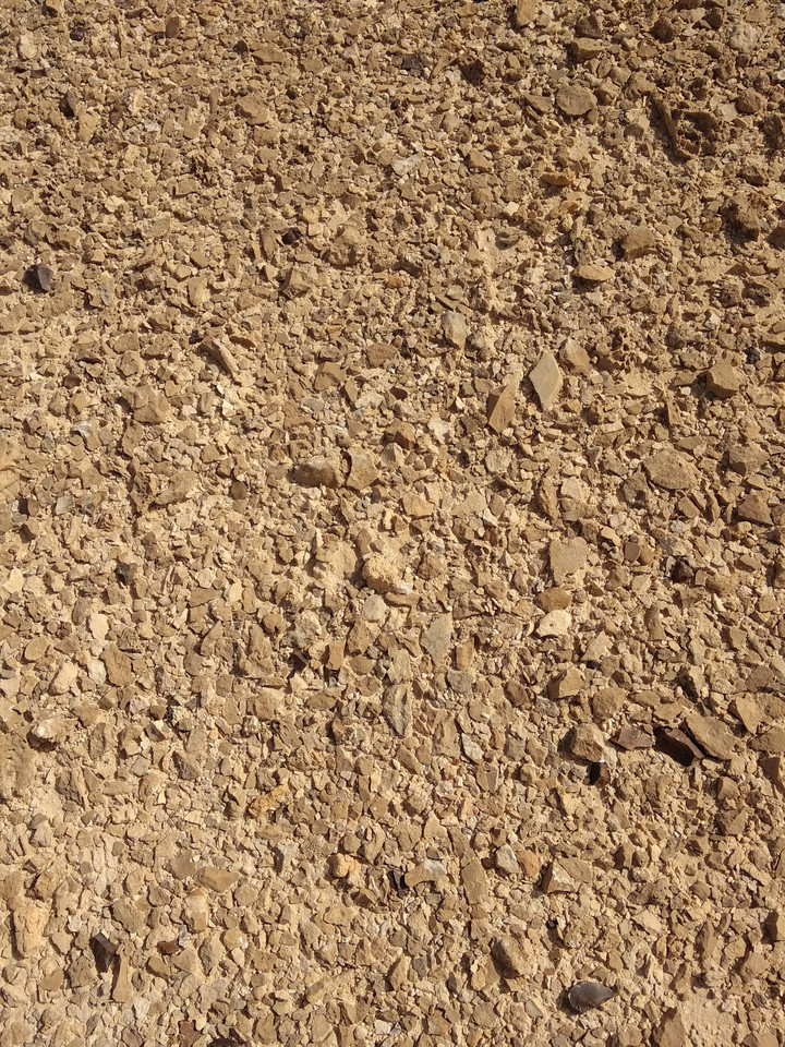 desert
