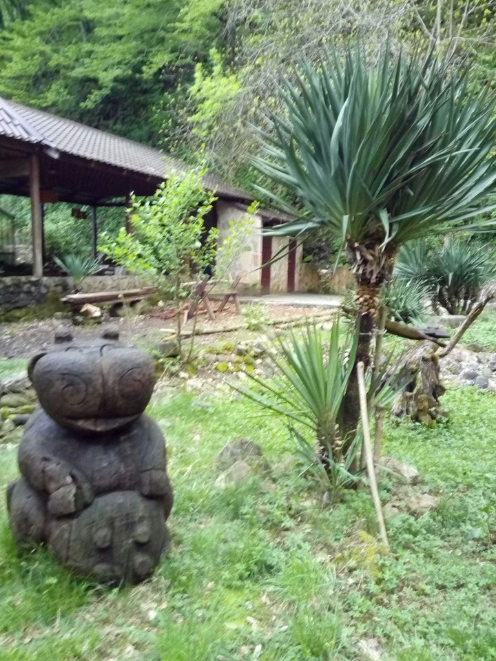 cafe in the wood