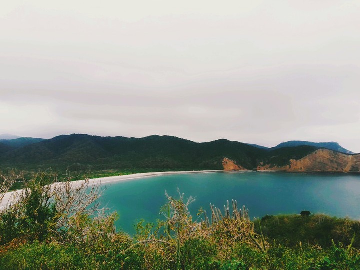 Frailes