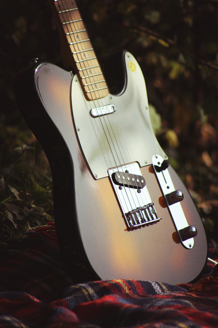 Autumn  vintage Telecaster