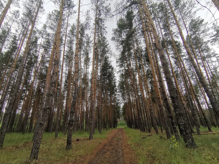 Самарская область