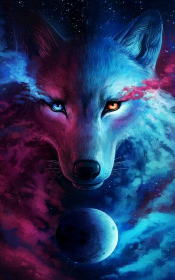 wolf ◎