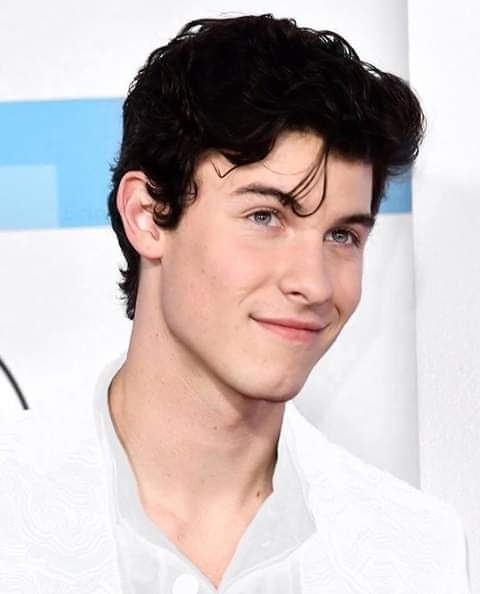 shawn mendes