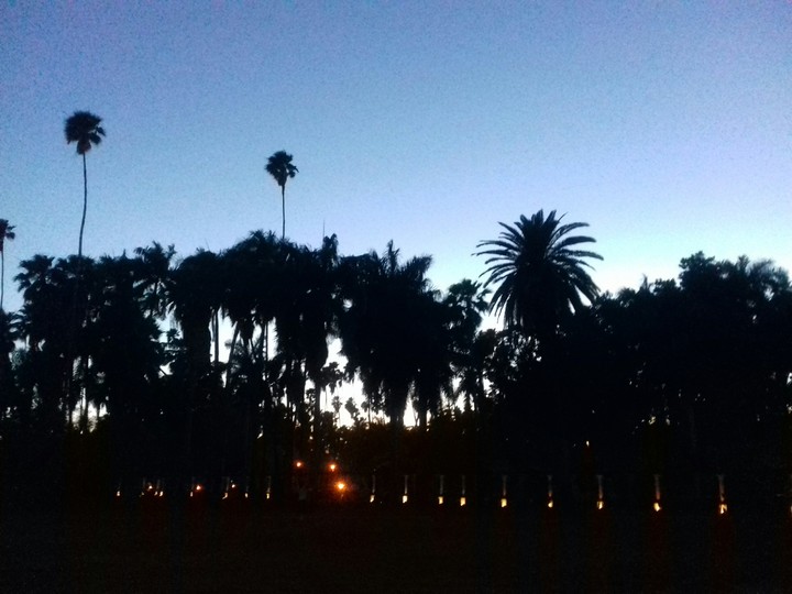 night shadows