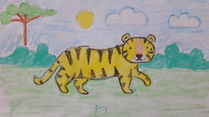 Royal Bengal Tiger