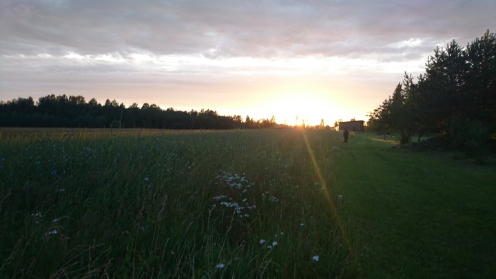 Field