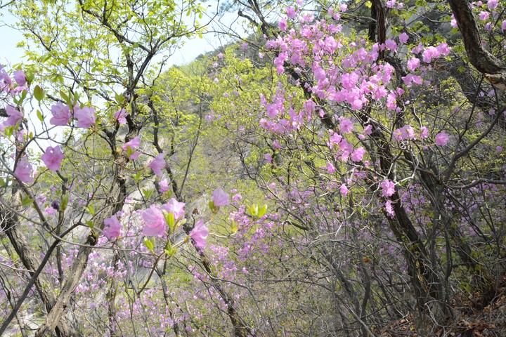수락산이미지