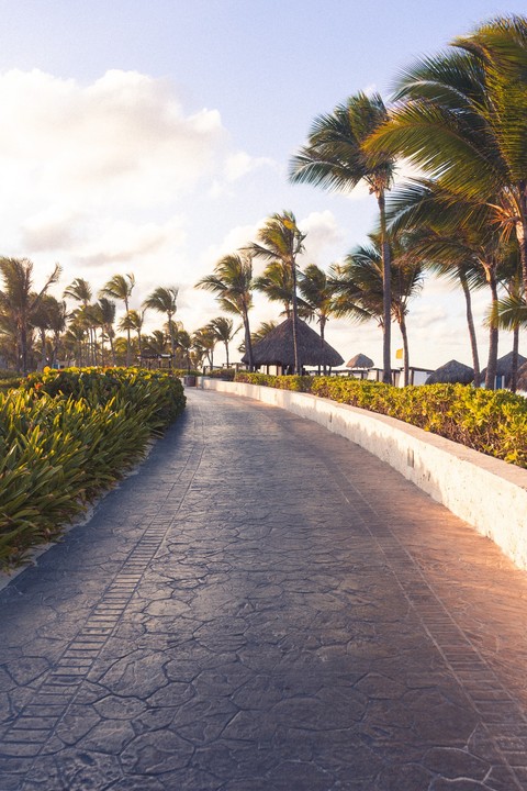 sunlight, evening wallpapers