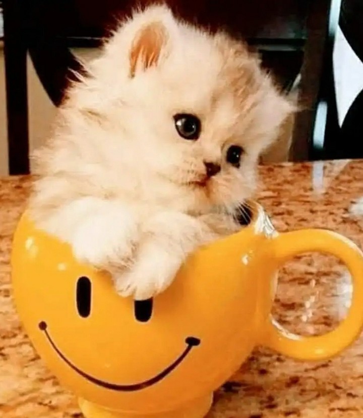 ☺