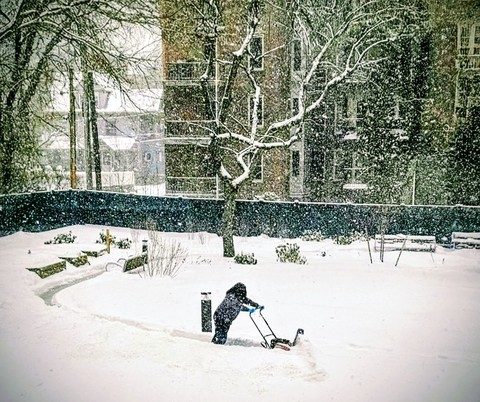 snow, blower壁纸