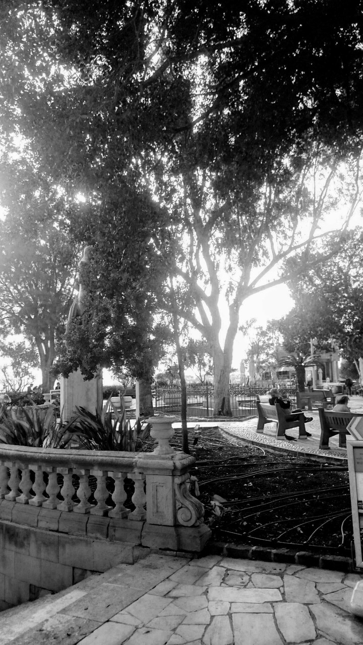 THE BLACK AND WHITE ERA