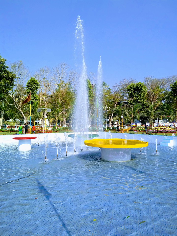 water shows