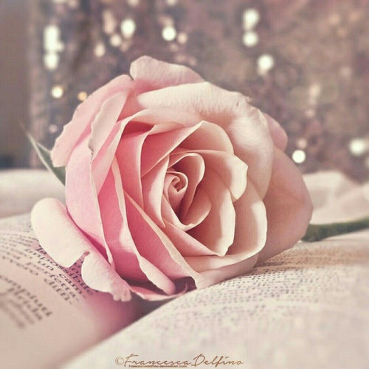 BeAuTiFuL flowers