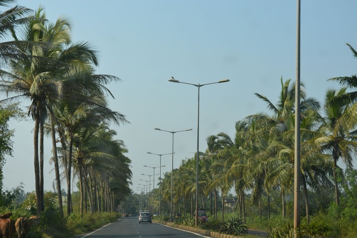 road front