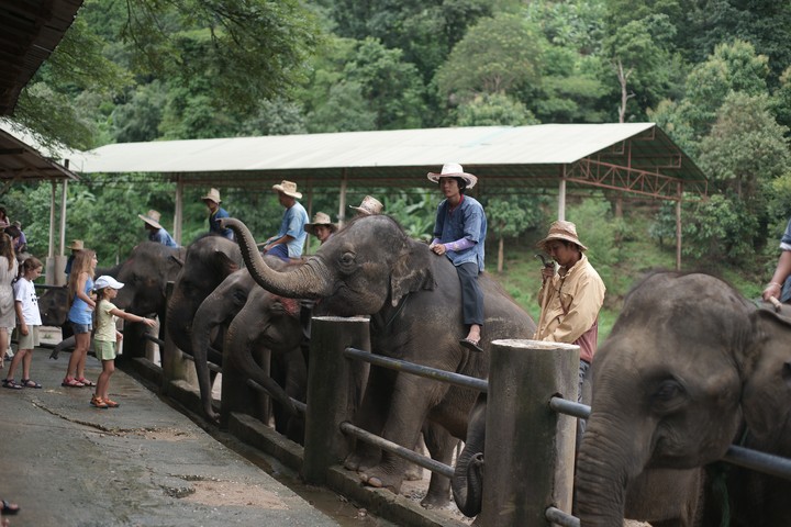 Travel
