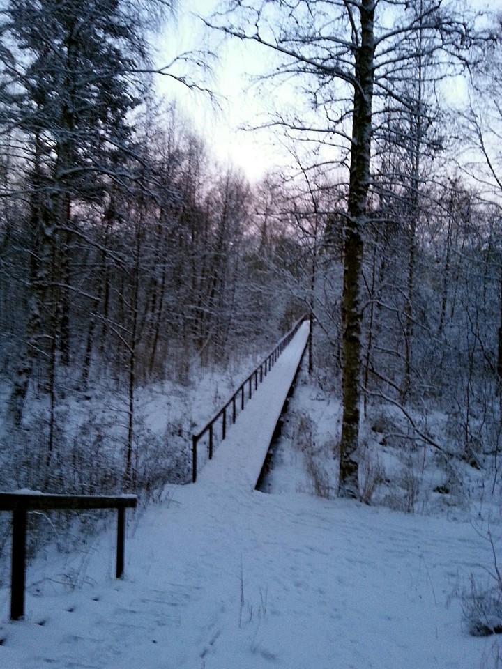 Winter