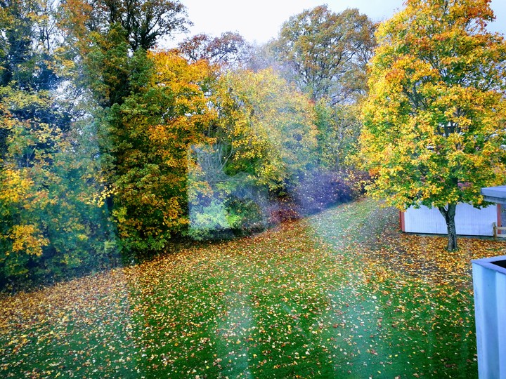 autumn