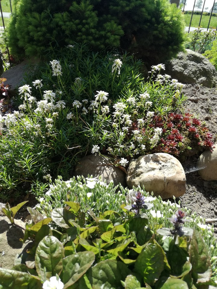 Frühling