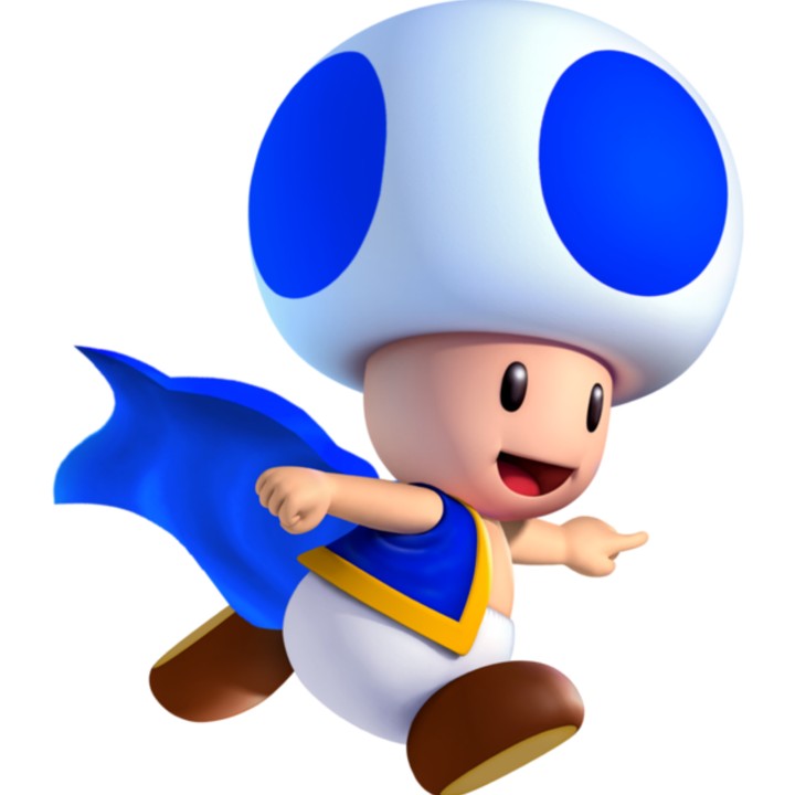 toad azul hermoso