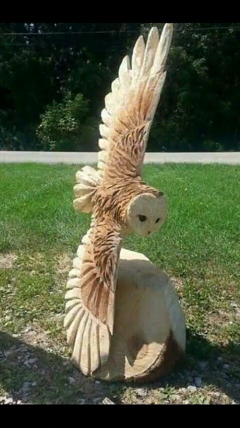 oWL WooD