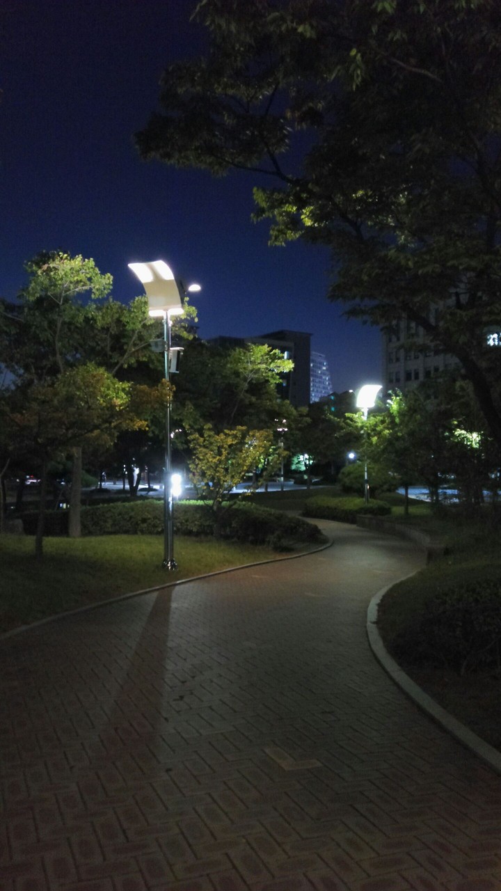 path to park