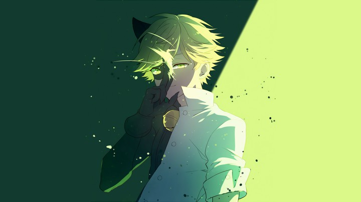 Adrien - Chat Noir❤️