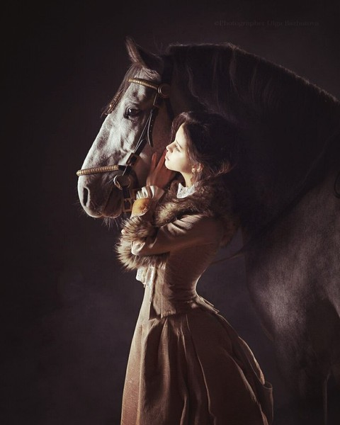 sfondi mane, stallion