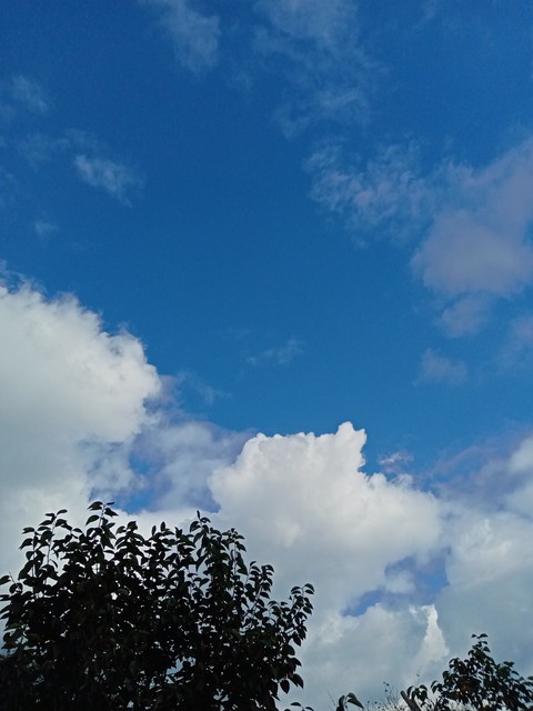 sky