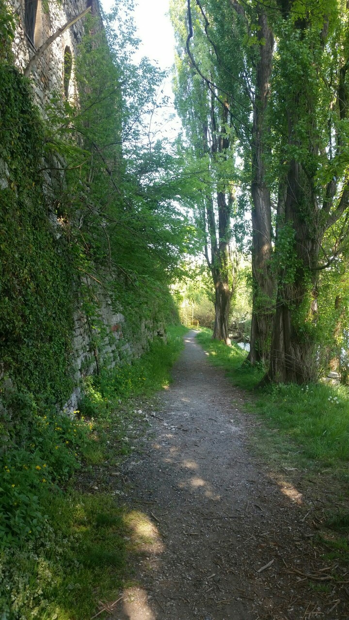 Green castle path