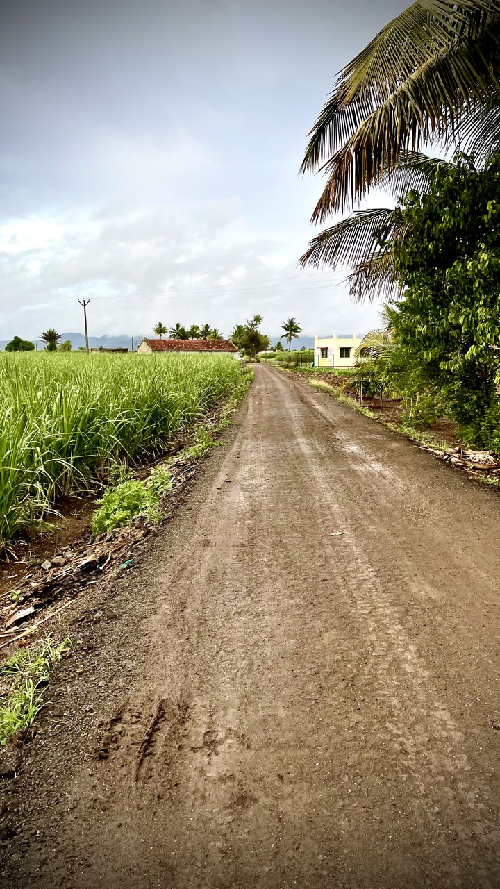 rural india