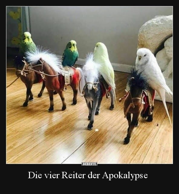 Spass mit Welli