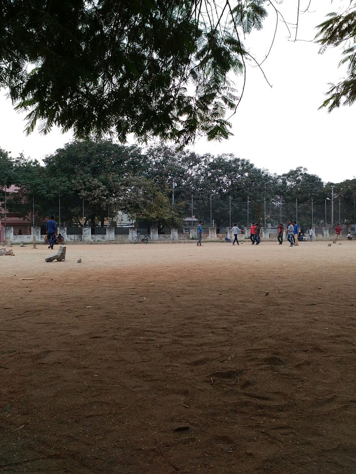 cricket ground