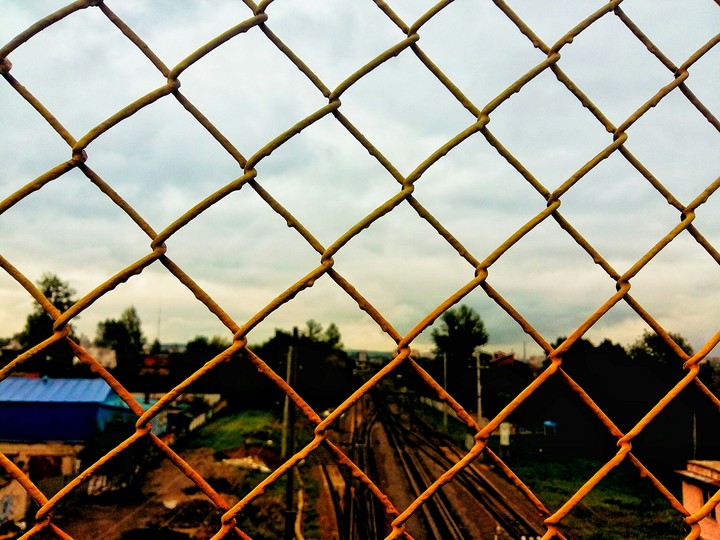 cage
