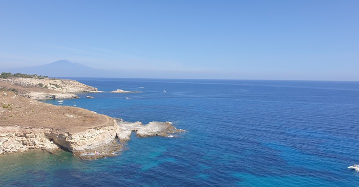 mare estate 2020