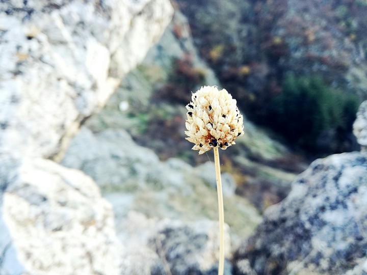 Lonely