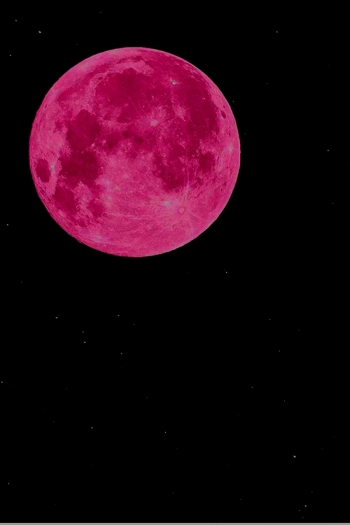 Pink Moon