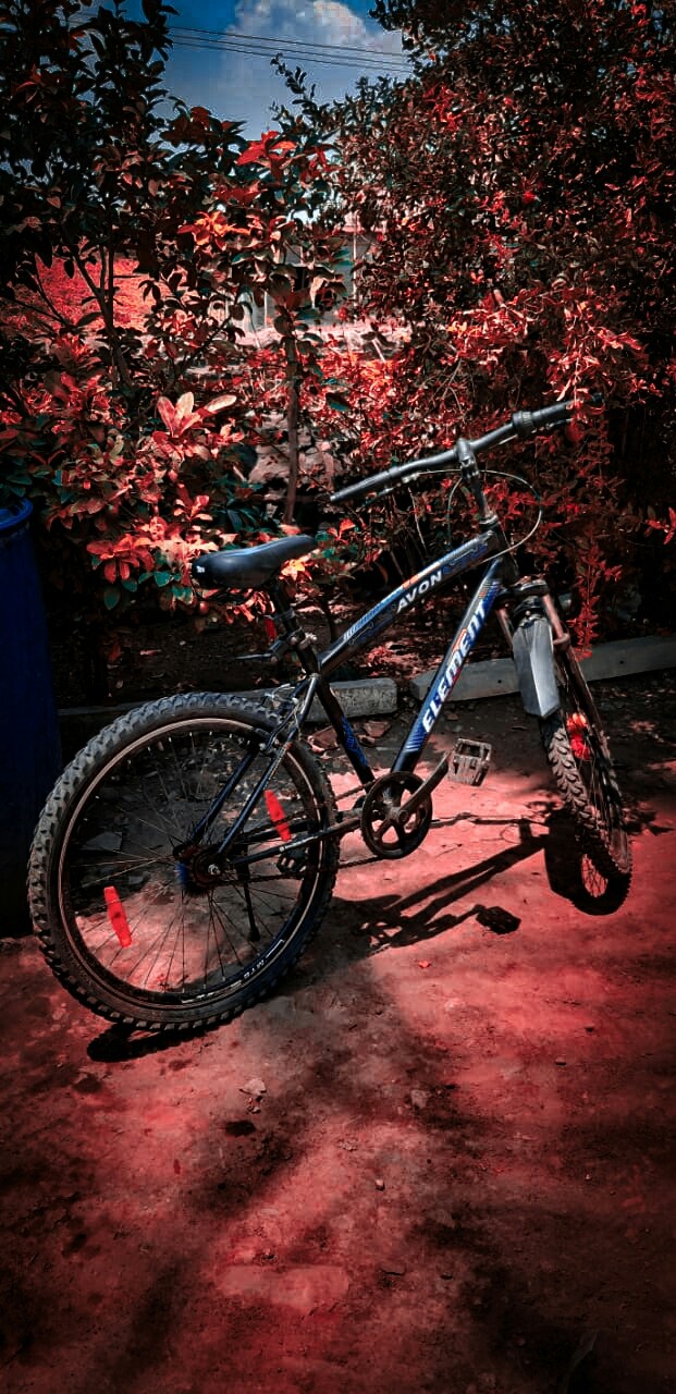 cycling