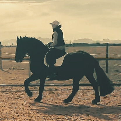 rider