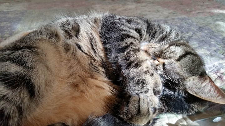 sleepy