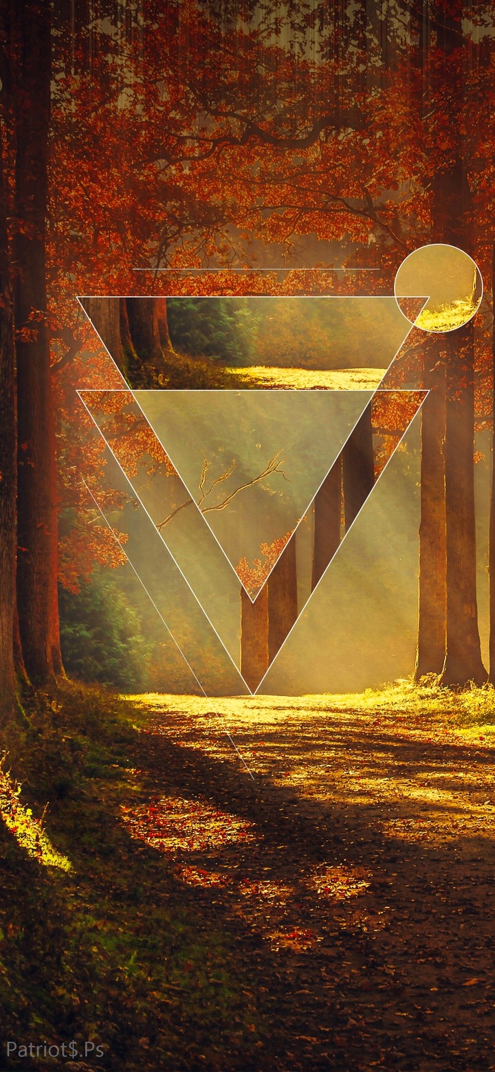 geometric shapes N. 1